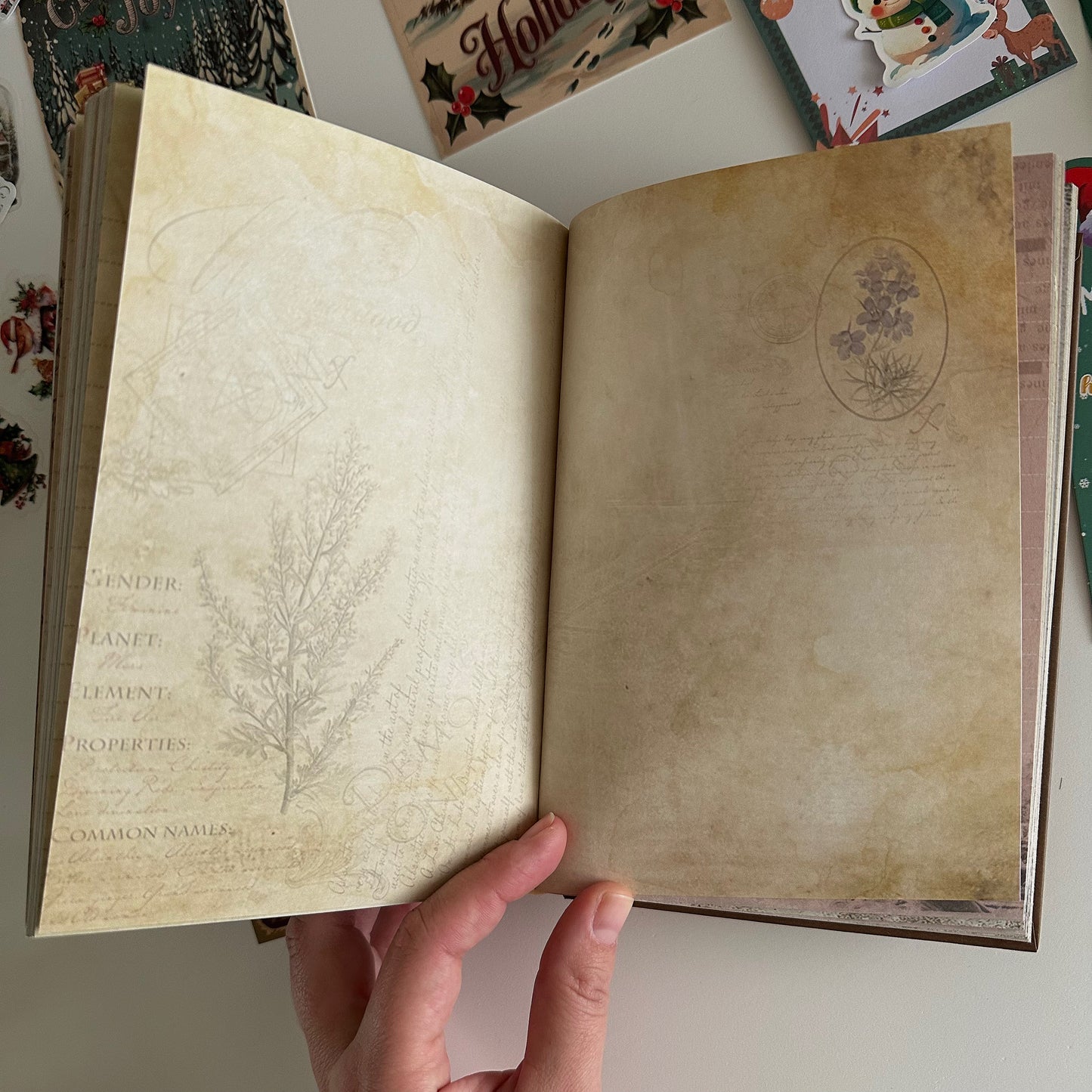 🎄 Christmas Bookish Bundle